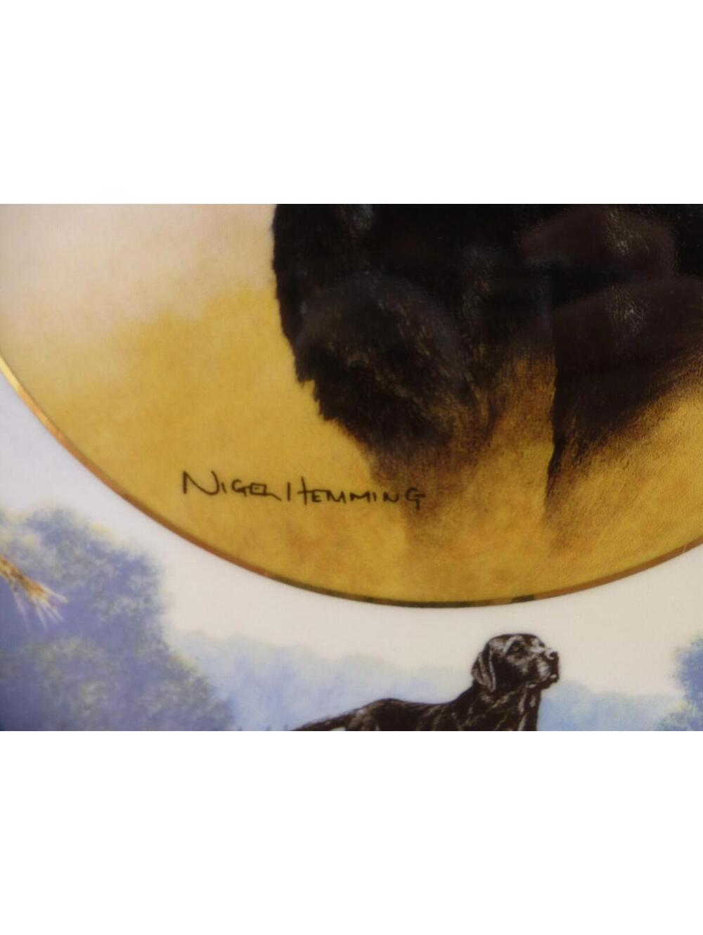 Royal Doulton Franklin Mint Sporting Life Black Labrador Retriever Plate D13 - Picture 3 of 9